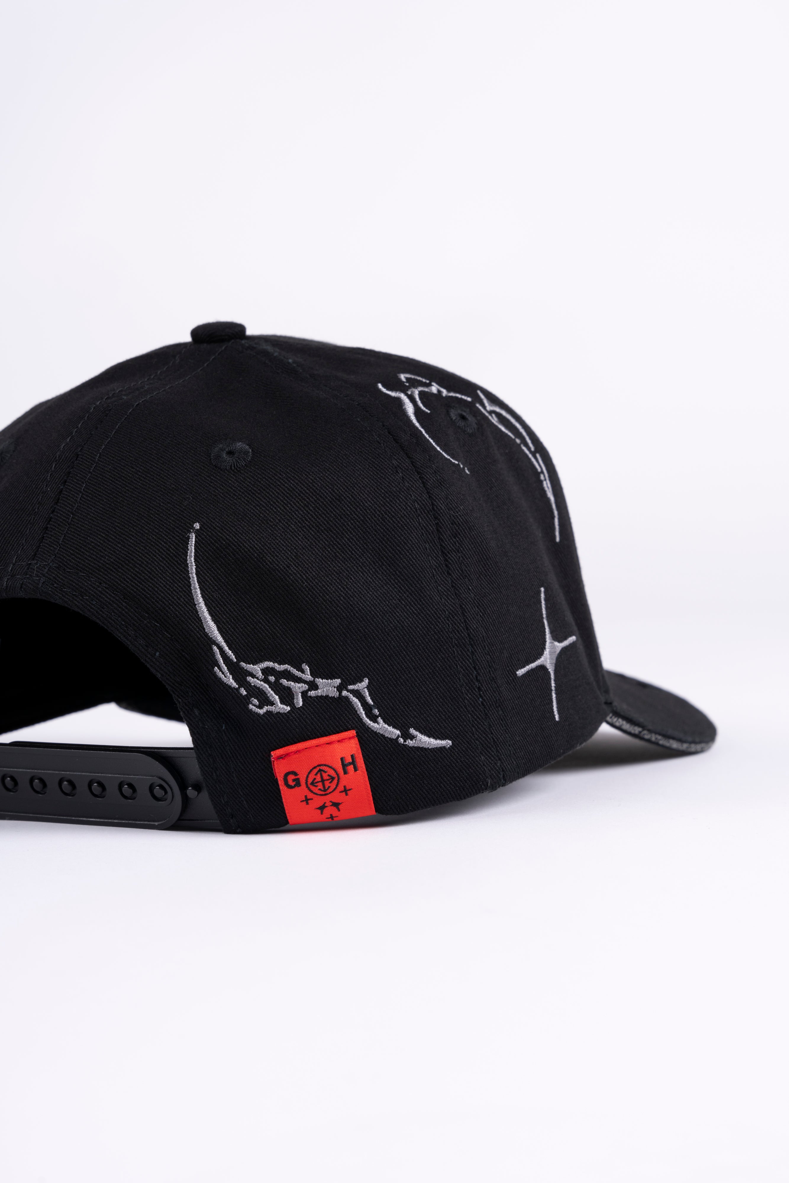 Evolution Snapback Hat