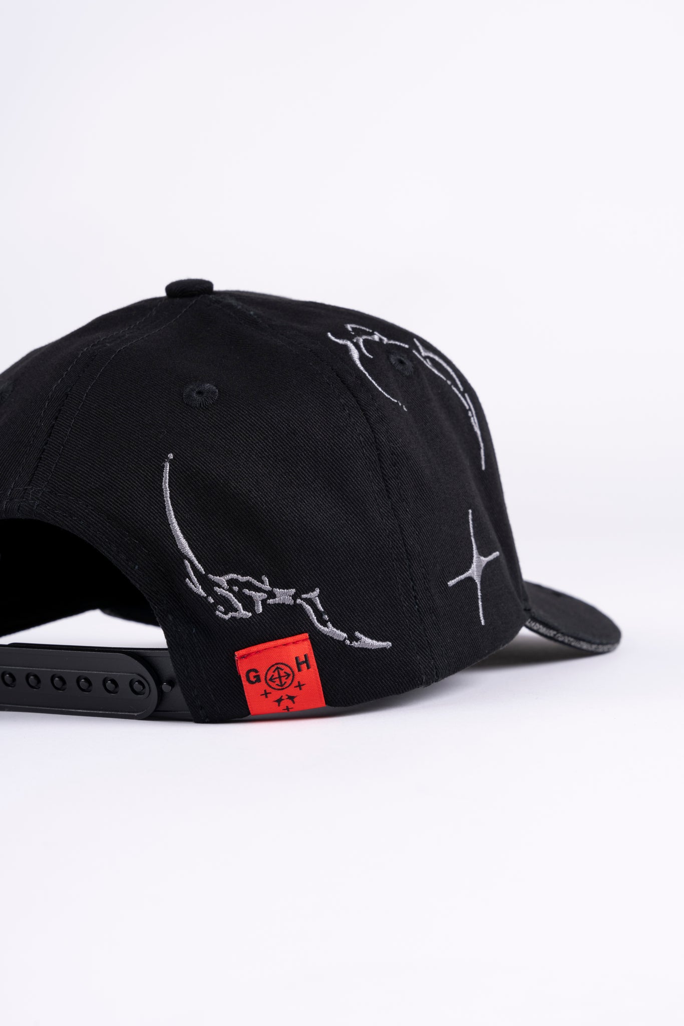 Evolution Snapback Hat