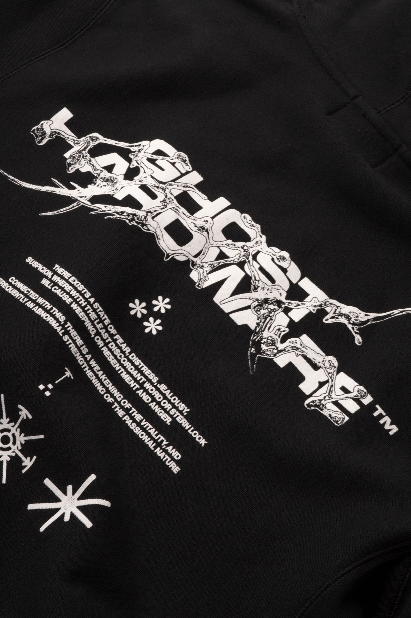 Ghost [ HS ] Hoodie (Renaissance)