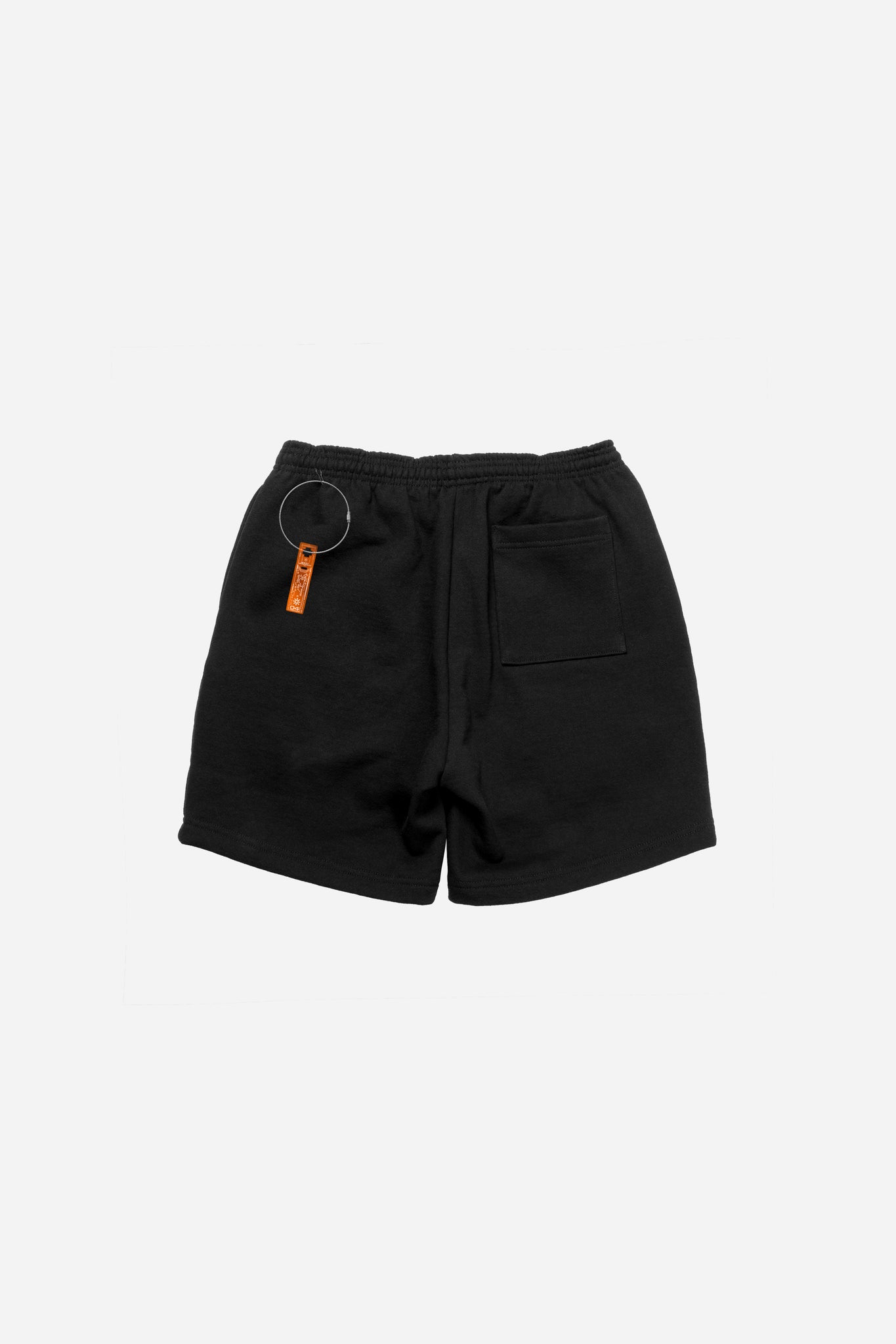 Elevated Education [ patch ] Shorts